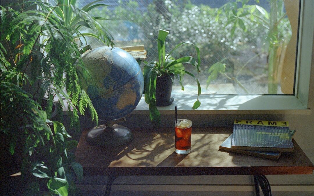 初心者が最初に買うべき観葉植物10選｜失敗しにくい丈夫な品種と育て方のコツ