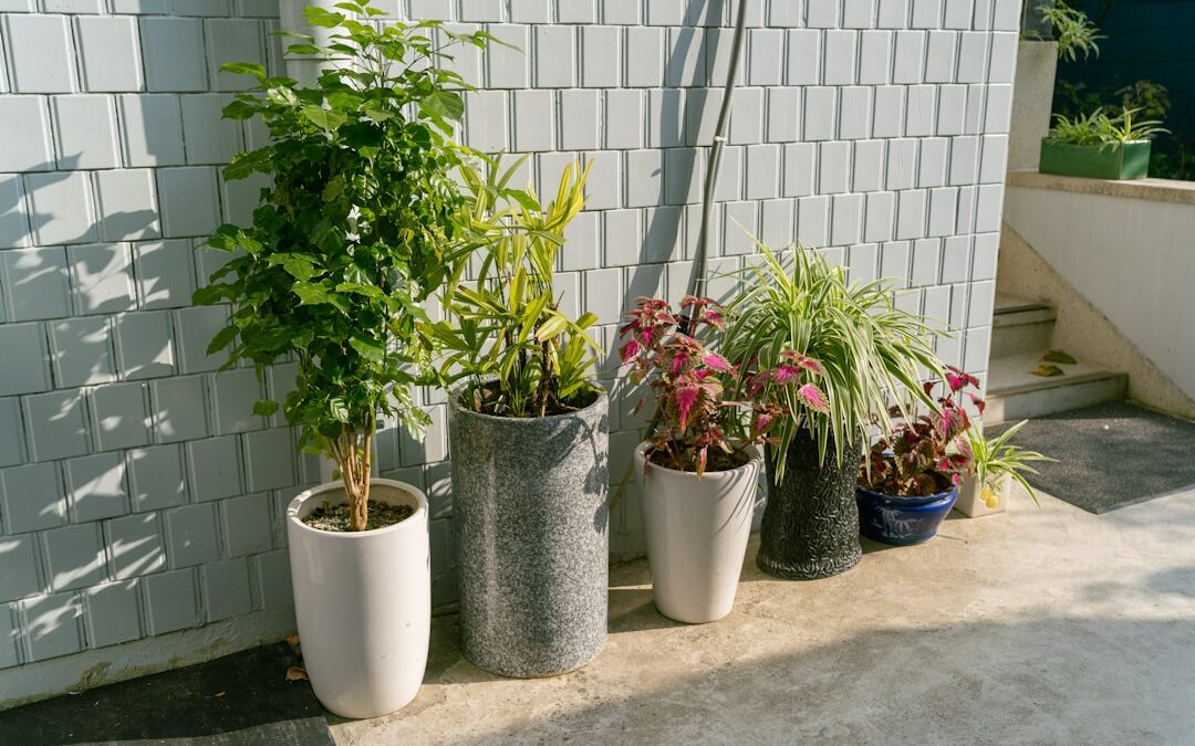 植物のある暮らしをもっと豊かに。大型鉢からこだわり小物まで、本当に使えるガーデニングツール案内