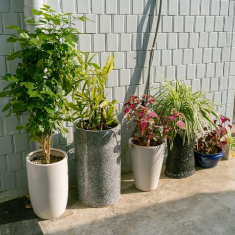 植物のある暮らしをもっと豊かに。大型鉢からこだわり小物まで、本当に使えるガーデニングツール案内