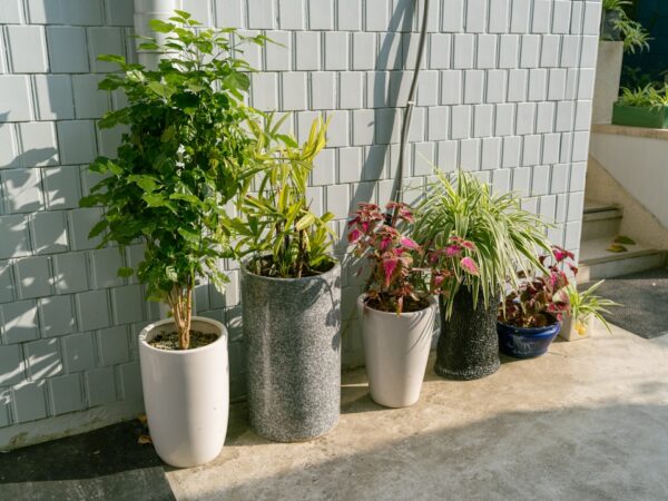 植物のある暮らしをもっと豊かに。大型鉢からこだわり小物まで、本当に使えるガーデニングツール案内